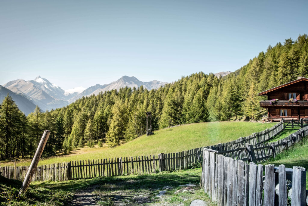 Lieser-Maltatal Lärchenwiese © Österreich Werbung Lieser-Maltatal Lärchenwiese