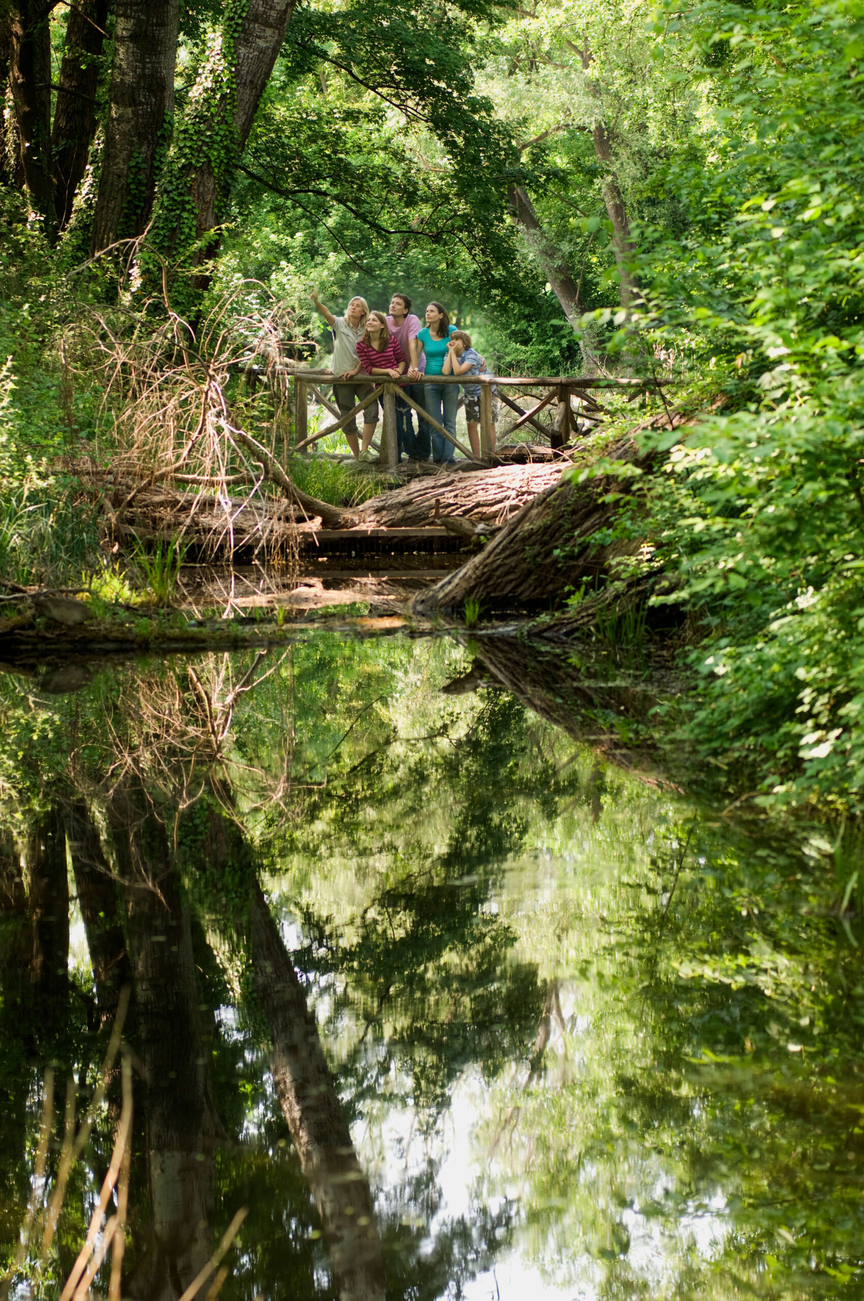 Nationalpark Donauauen Krems Wachau Melk