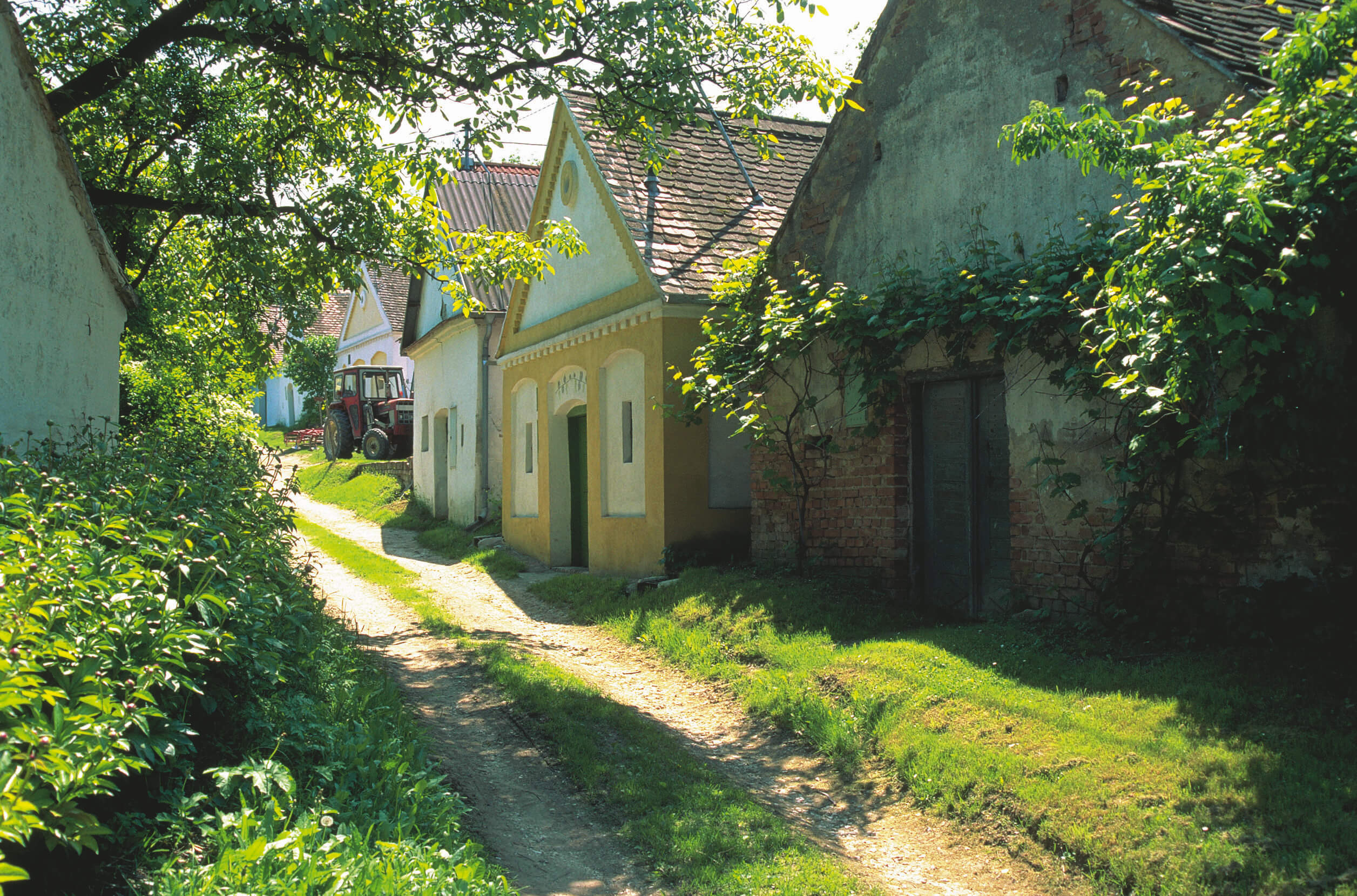 Unterstinkenbrunn Weinviertel