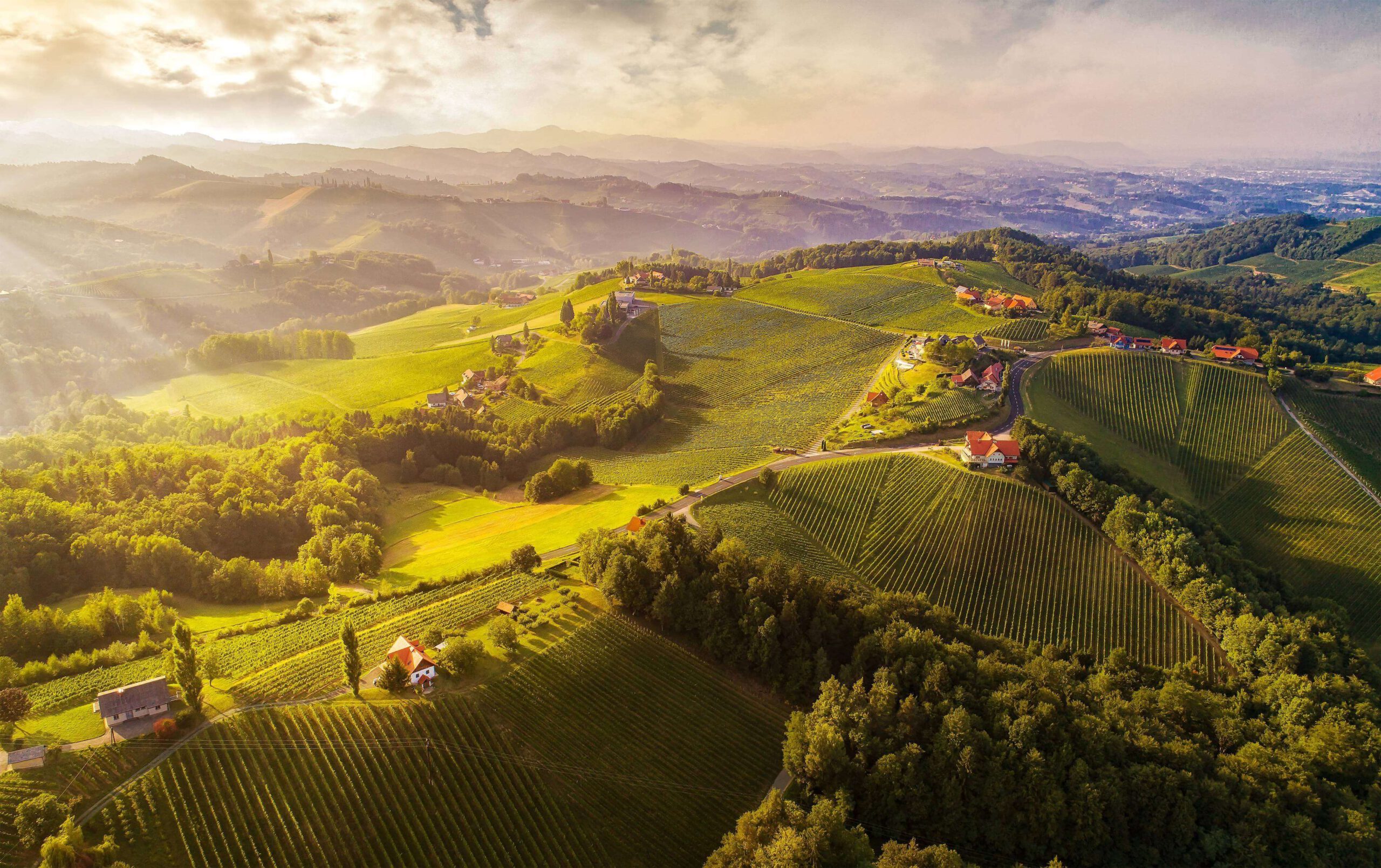 Schilcherland Leibnitz © Österreich Werbung, Andreas Tischler Schilcherland Leibnitz