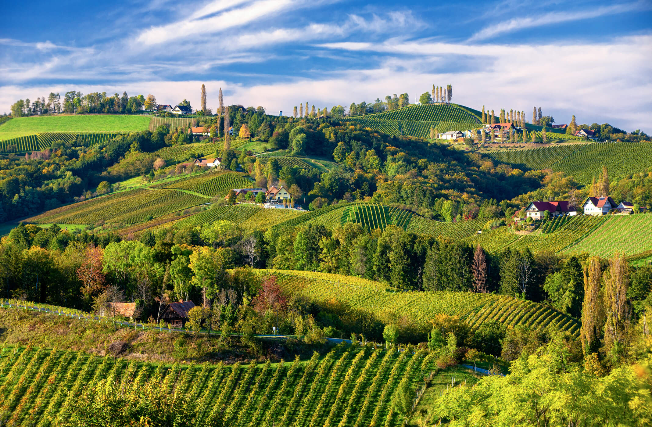 Südsteirische Weinstrasse