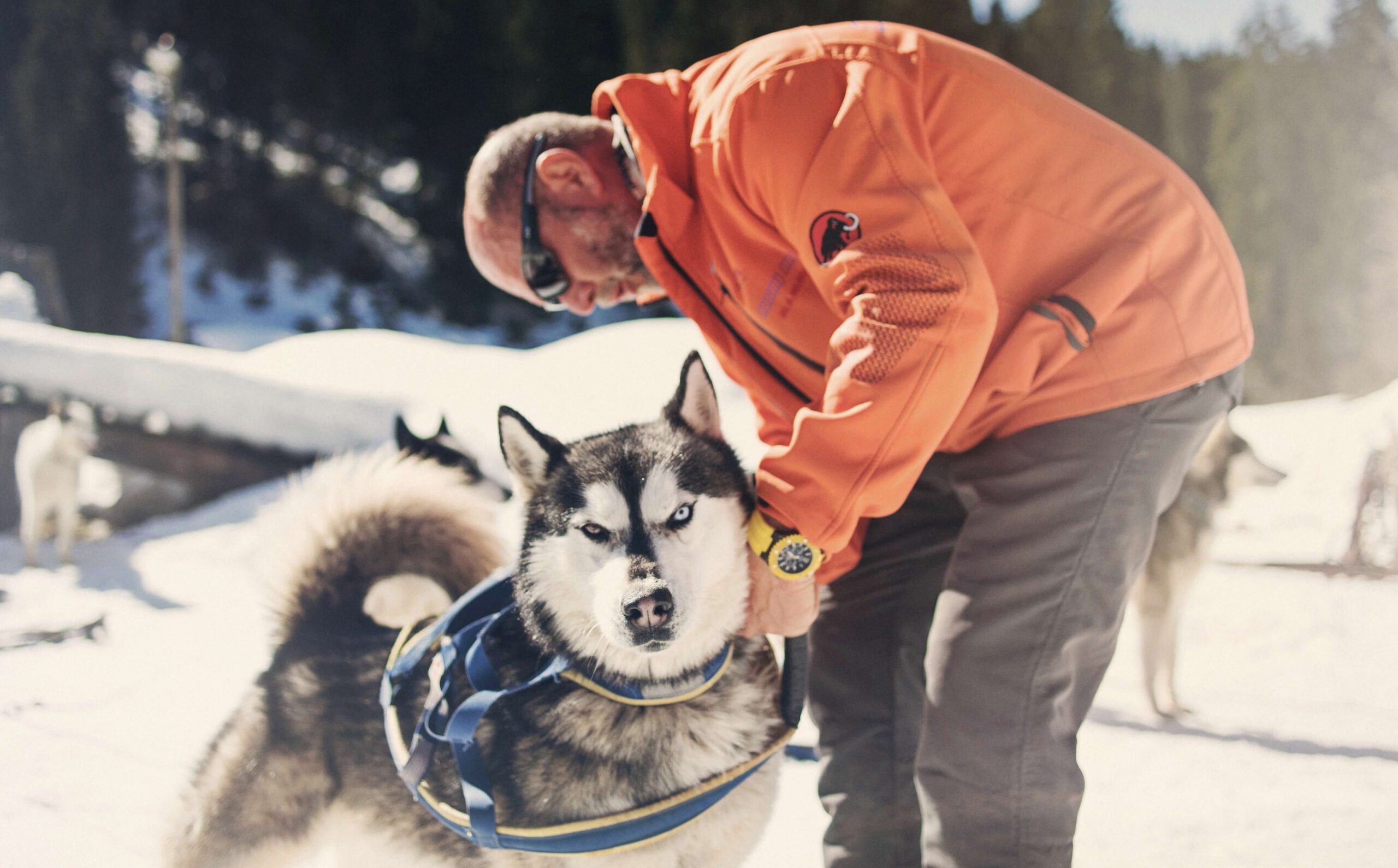 Husky Camp Breitbachklamm