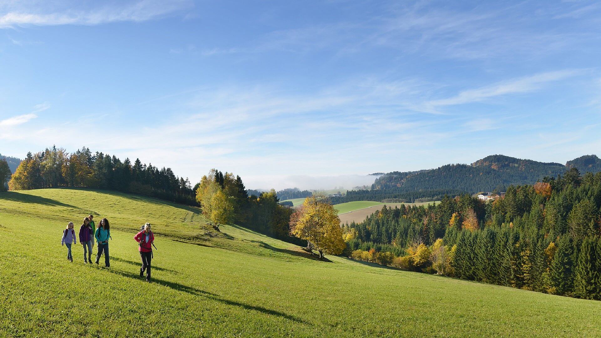 Der Böhmerwald