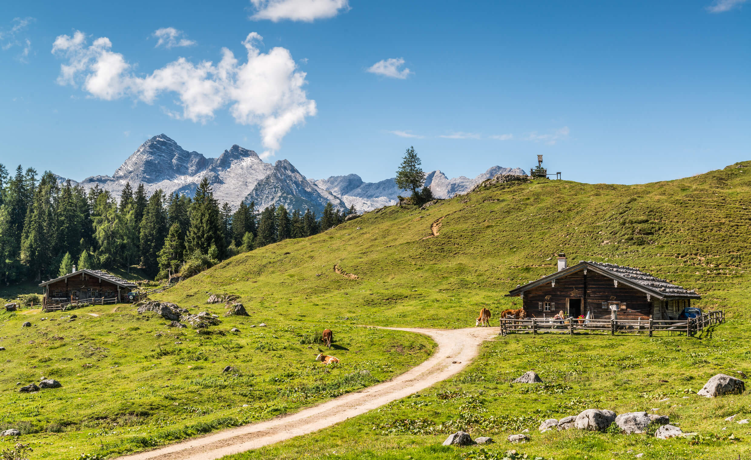 Kallbrunnalm im Saalachtal