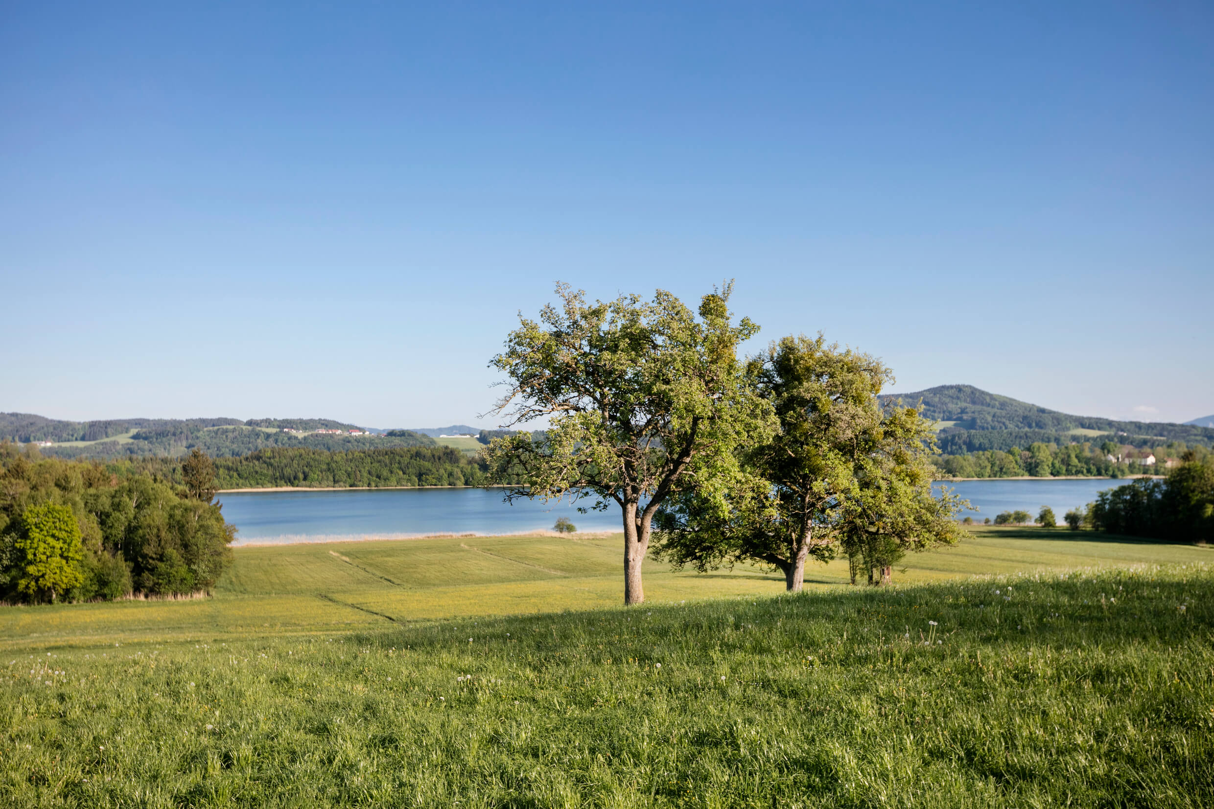 Grabensee in Salzburg