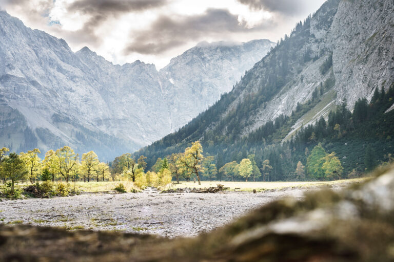 Silberregion Karwendel Bergahorn auf dem großen Ahornboden Ahornboden