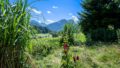 DSC_4152-HDR