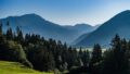DJI_20240730083136_0557_D