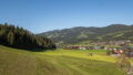Blick Top 5