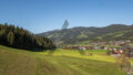 Blick Top 5